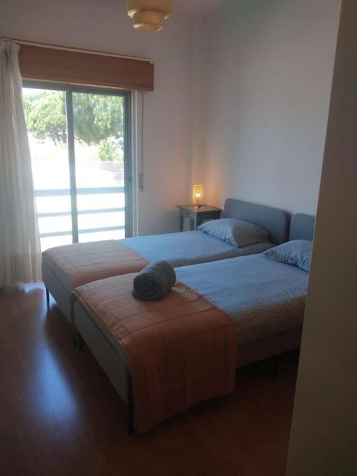 Navigation House Apartment Сесимбра Екстериор снимка
